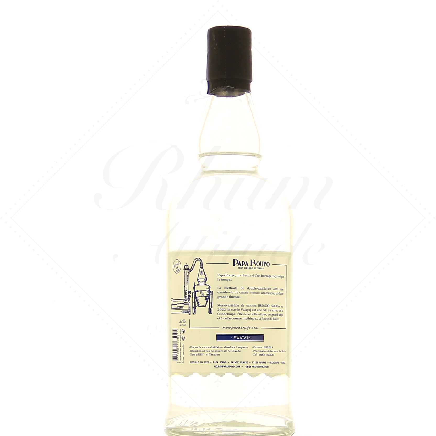 Papa Rouyo Vwayaj 45° – Image 2